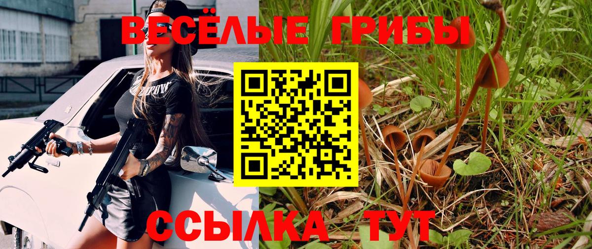 Галлюциногенные грибы Cubensis Отрадный