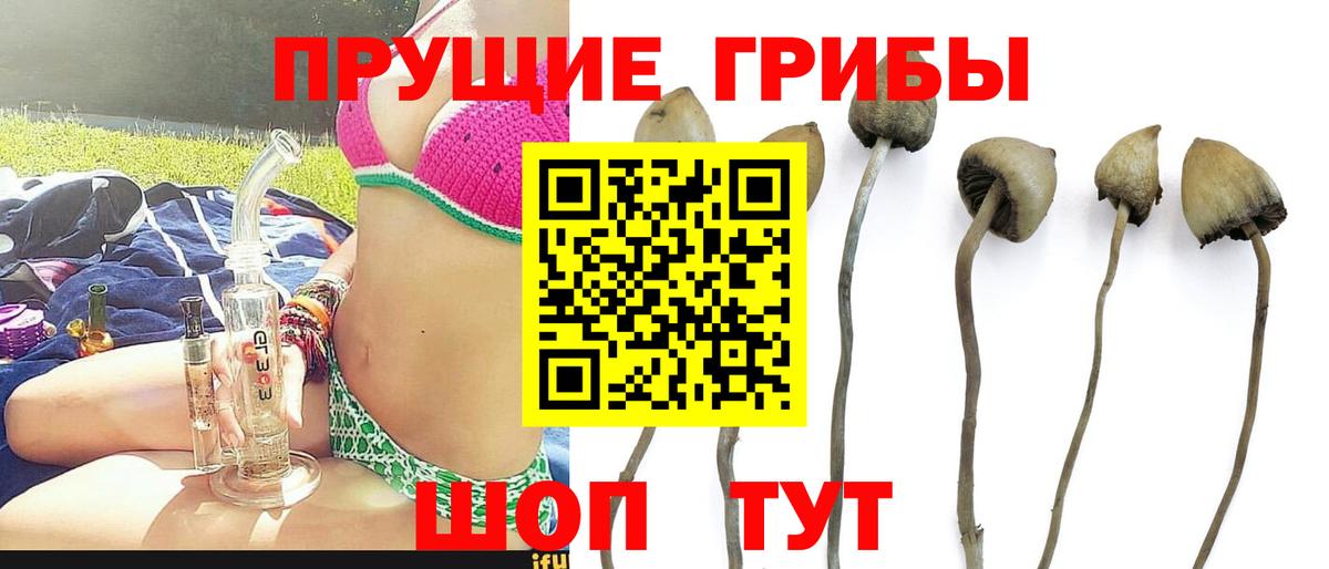 Отрадный  Галлюциногенные грибы GOLDEN TEACHER  Вход с VPN 