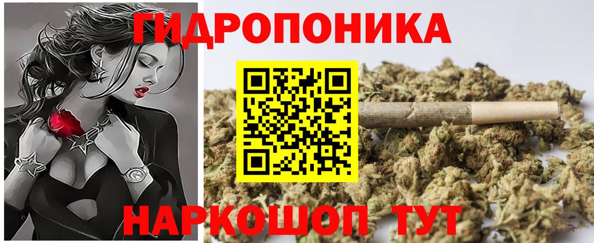 Конопля план  МАРИХУАНА ГИДРОПОН  Бошки Шишки Ganja  Вход с VPN  Отрадный 